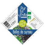 Pur jus de baie de sureau noir biologique